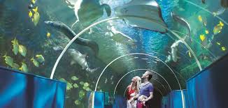 Bournemouth Oceanarium