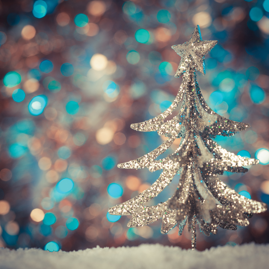 Bournemouth To Welcome Brand New Winter Attraction Christmas Tree Wonderland