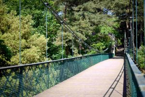 Alum Chine Suspension Bridge